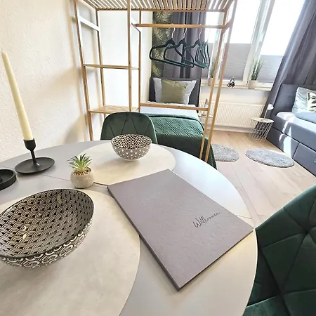 Friends, 2 Apartments, Businesswohnung, Monteurzimmer Mit Gemeinschaftskueche Appartamento Salzgitter