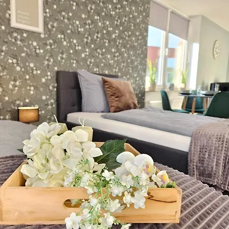 Appartamento Friends, 2 Apartments, Businesswohnung, Monteurzimmer Mit Gemeinschaftskueche *